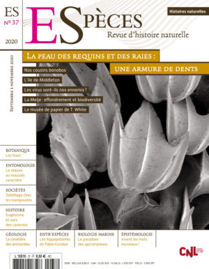 Especes couv37 1500 300x386