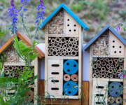 Atelier fabrication de Gîtes à insectes Miniature